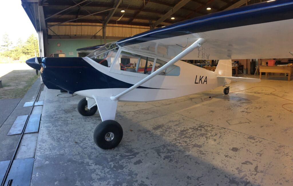 Bearhawk LSA 6 bearhawk3